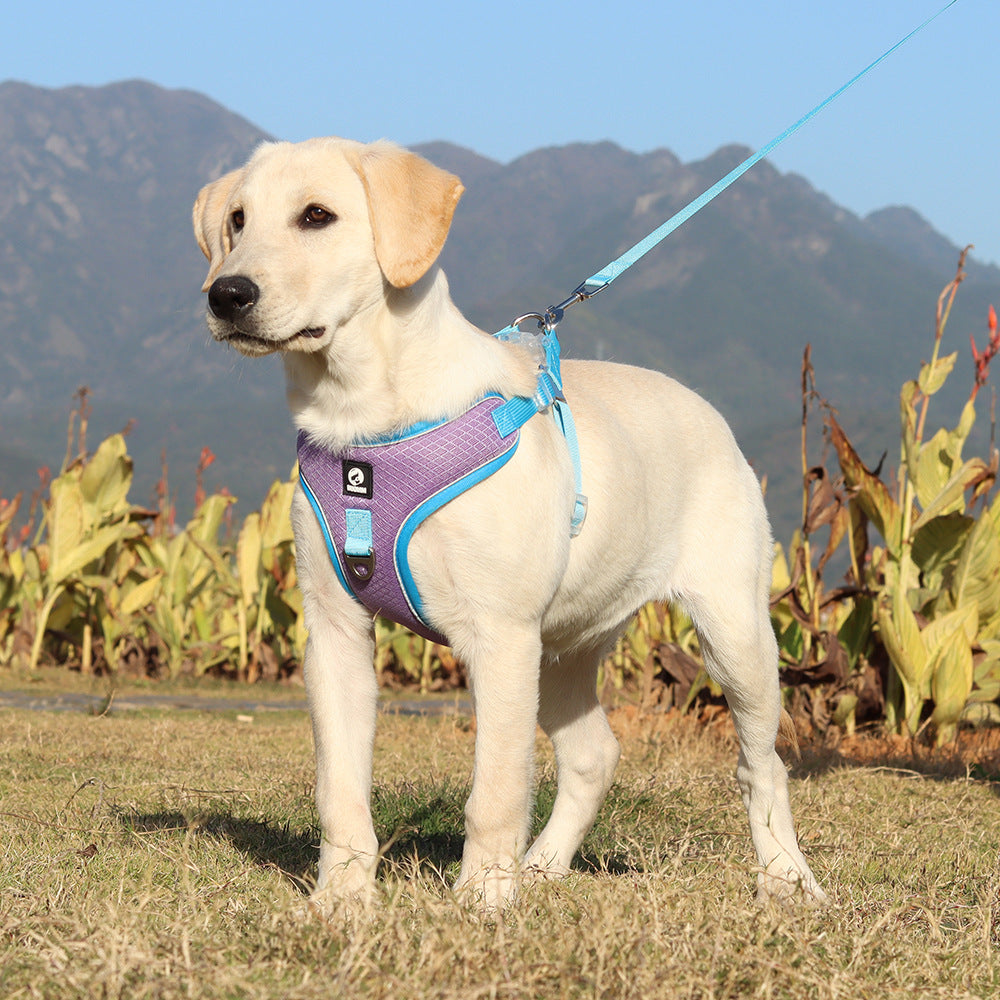 Discover Comfort and Style with the Breathable Adjustable Pet Harness Leash