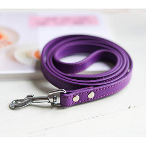 Why Your Pet Deserves the Best: The Pet Collar Leash Set