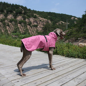 Keep Your Pet Warm with Our Stylish Pet Shell Jacket