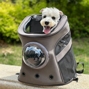 Why You Need the Pet Portable Medium Size Backpack Style Carrier Bag