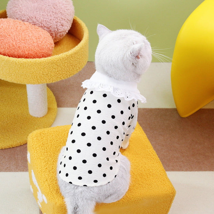 Blue Pet T Shirt Comfortable Casual Everyday Wear