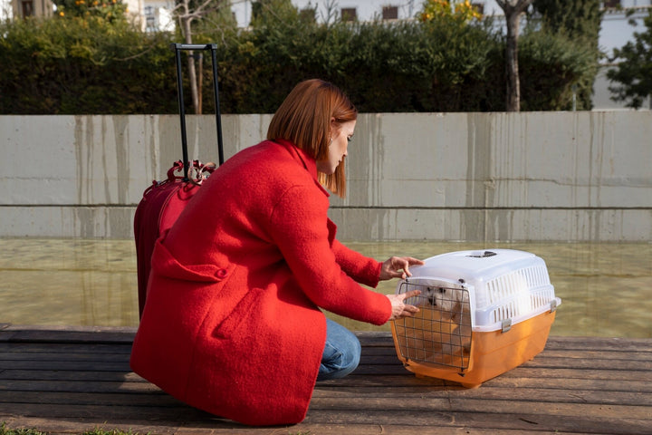 Secure and Comfortable Travel Pet Carrier Solutions