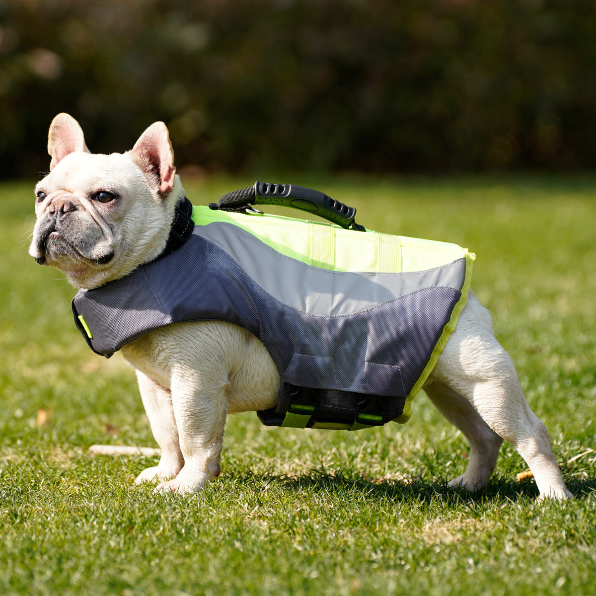 Reflective Pet Swimsuit Life Jacket Adjustable Safety Vest