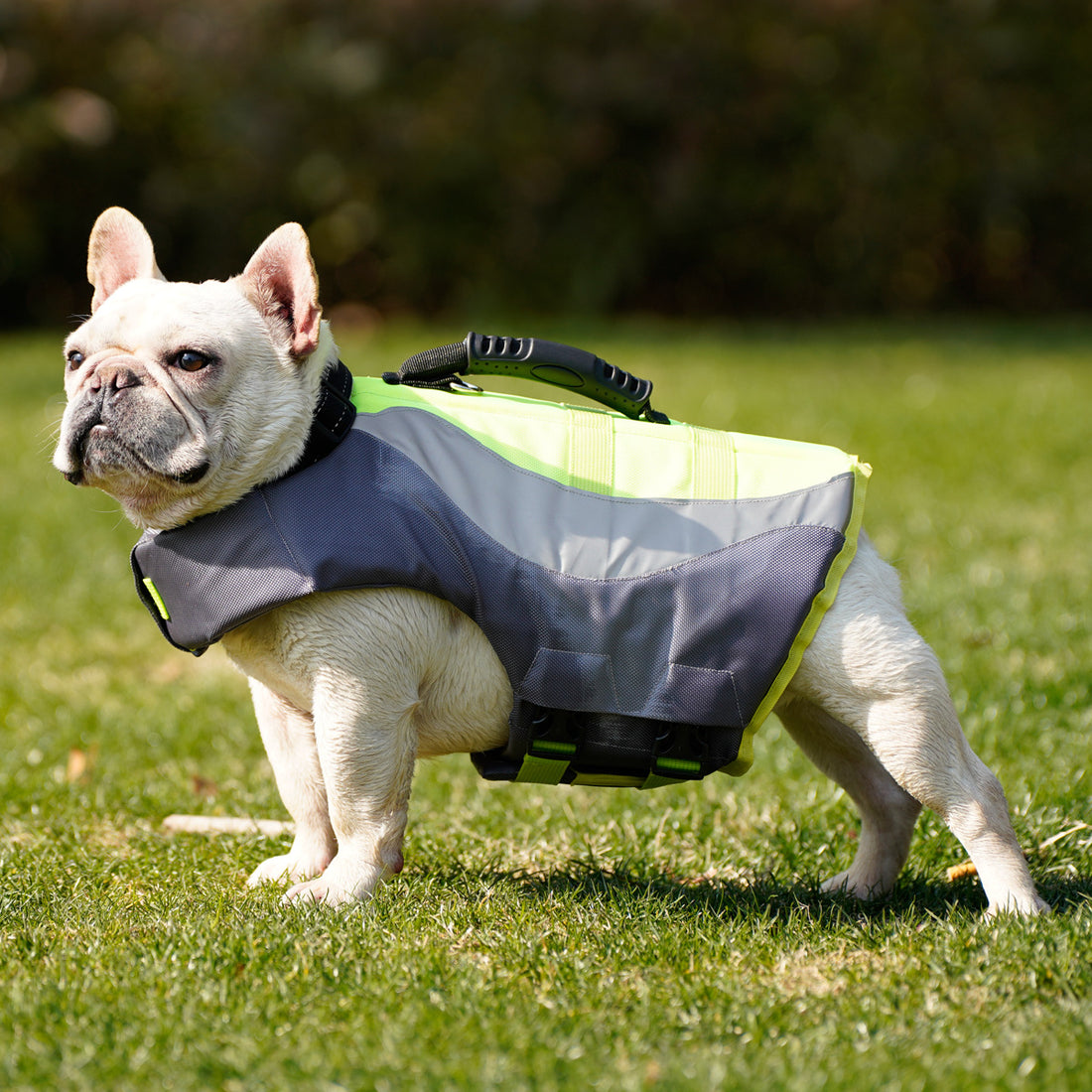 Reflective Pet Swimsuit Life Jacket Adjustable Safety Vest