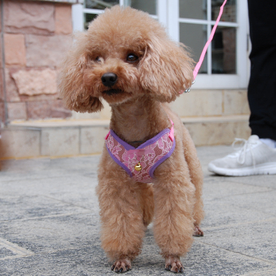 Undershirt Type Pet Chest Harness Leash