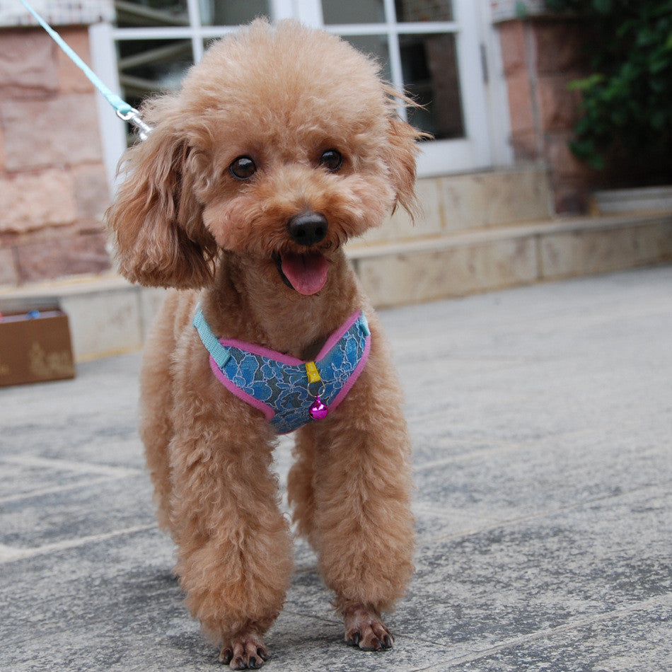 Undershirt Type Pet Chest Harness Leash