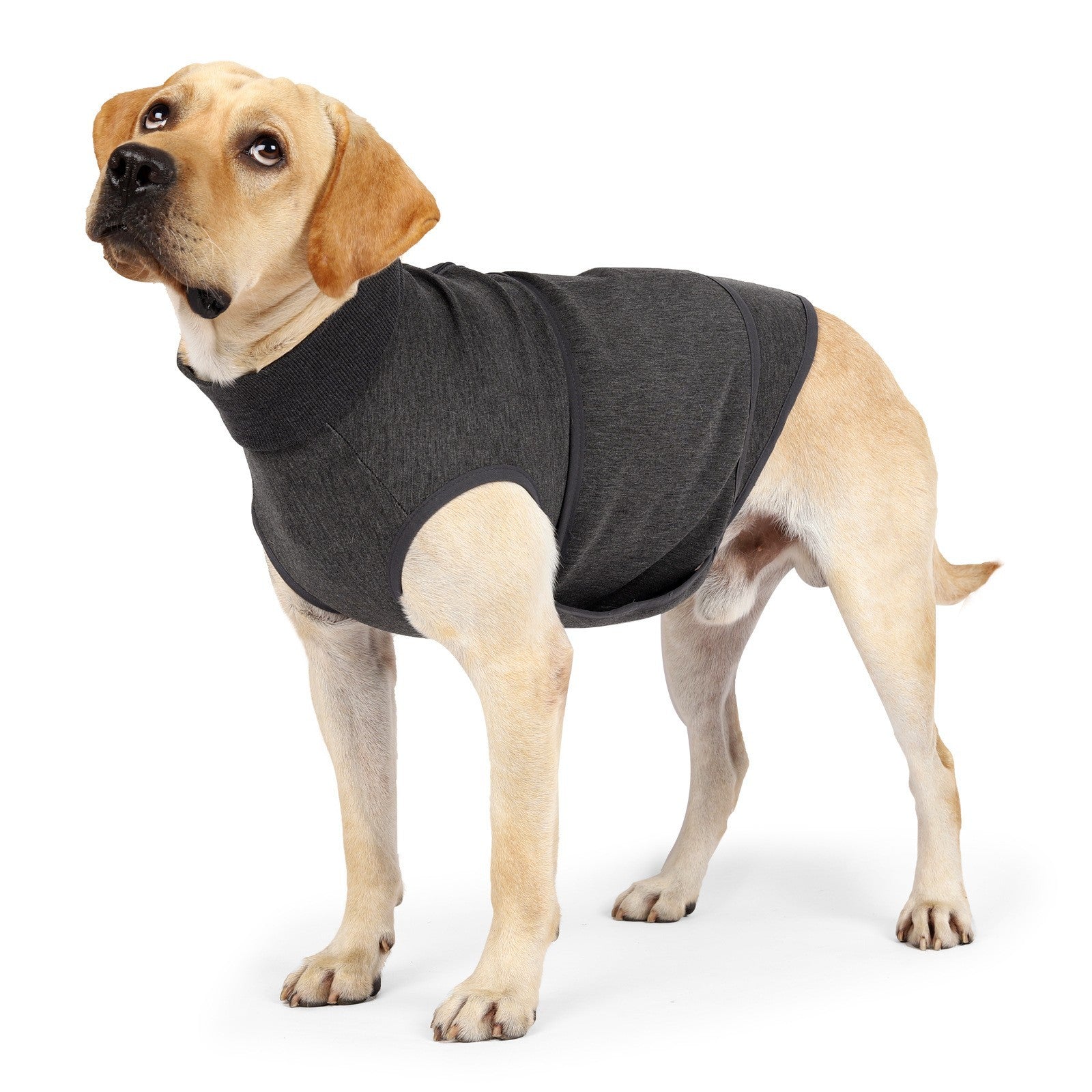Emotional Comfort Cotton Pet Double Layer Polyester Jacket