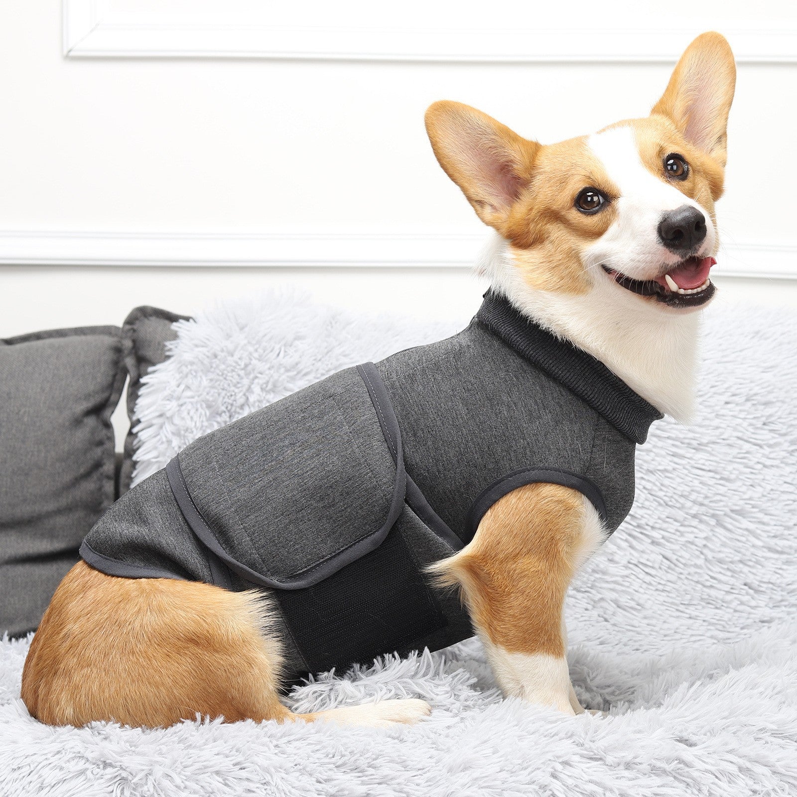 Emotional Comfort Cotton Pet Double Layer Polyester Jacket
