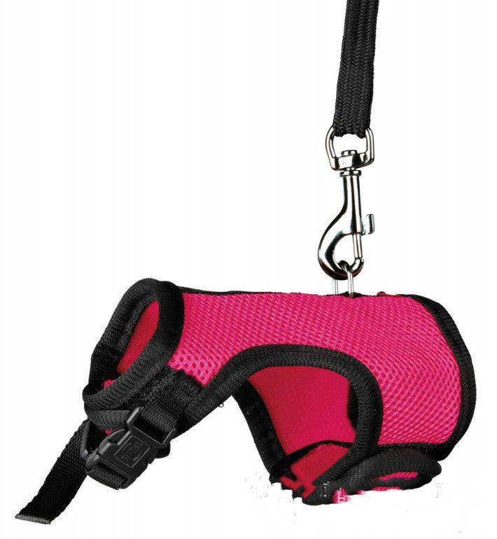 Adjustable Small Pet Walking Leash