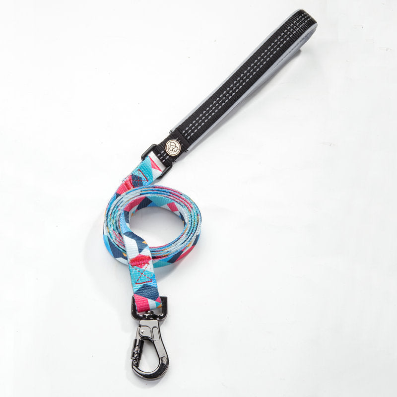 Durable Pet Walking Leash For Small Animals