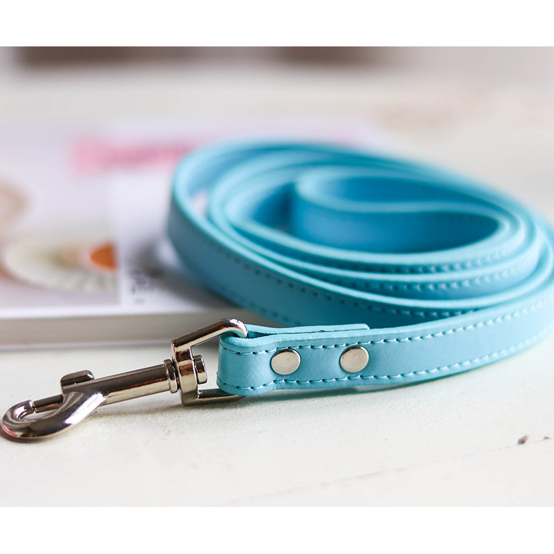 Pet Collar Leash Set