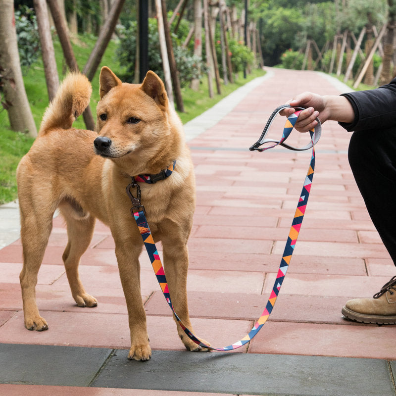 Durable Pet Walking Leash For Small Animals