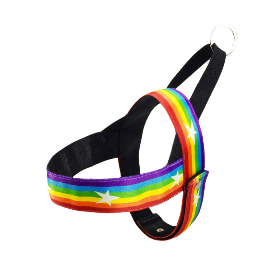 Rainbow Cool Pet Chain Leash