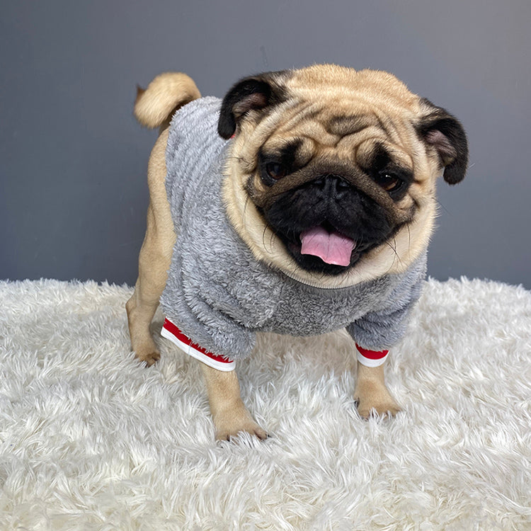 Warm Comfortable Pet Sweater For Everyday Wear