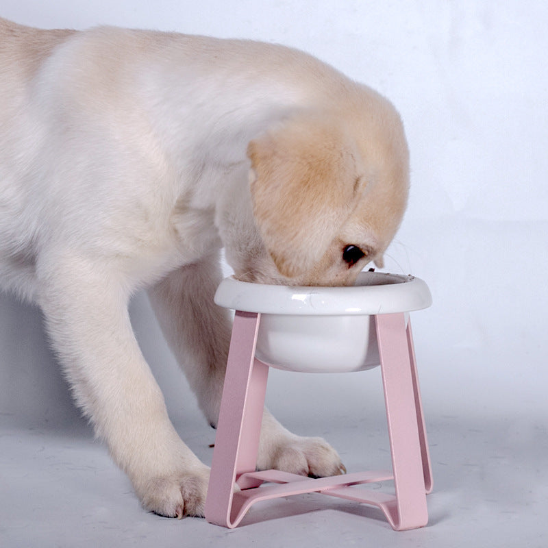 Anti-Slip Pet Feeding Bowl With Iron Stand Combo Set