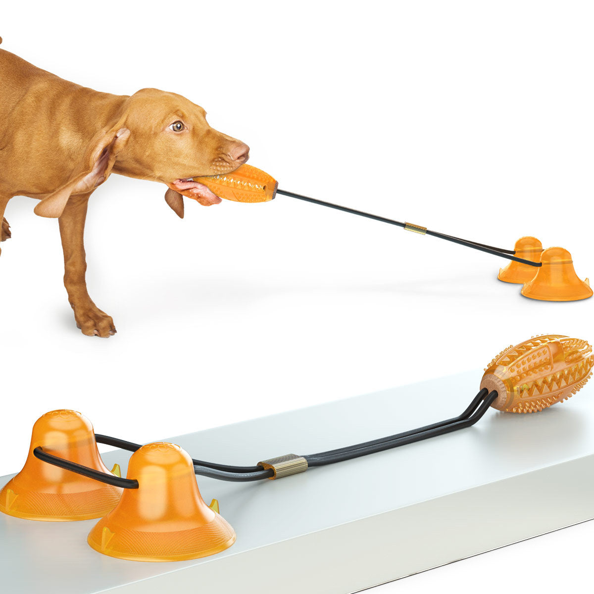 Multifunction Double Tug Rope Sucker Ball Pet Chew Toy