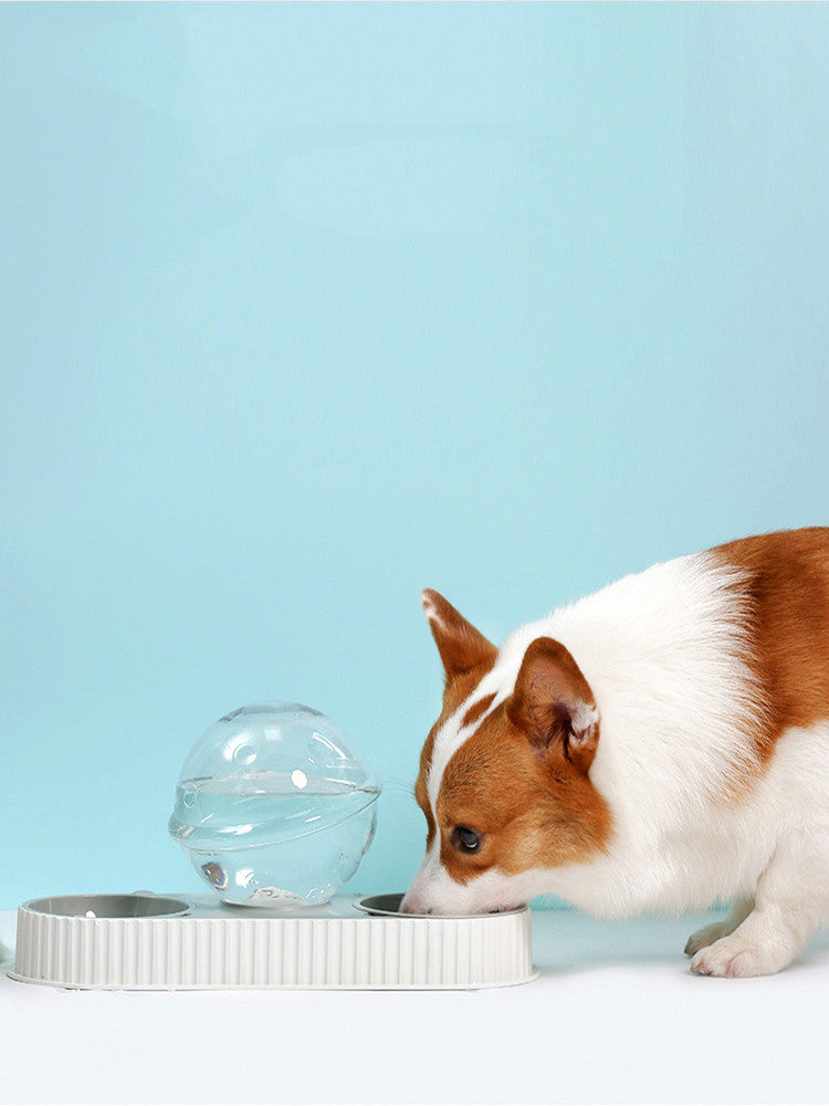 Automatic Pet Water And Food Feeding Bowl Dispenser