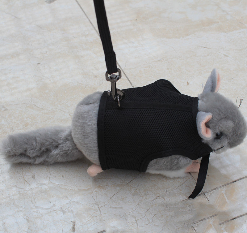 Adjustable Small Pet Walking Leash