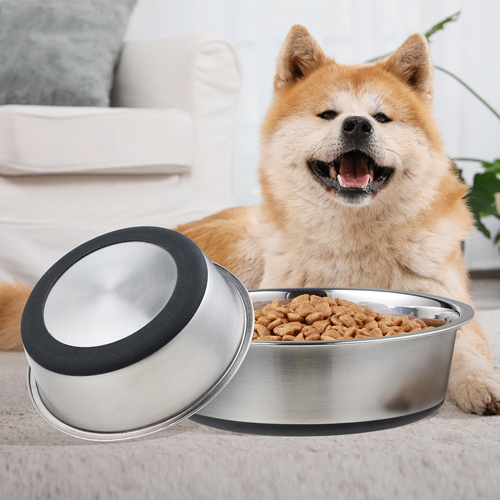 Silicone Stainless Steel Pet Feeding And Drinking Bowl