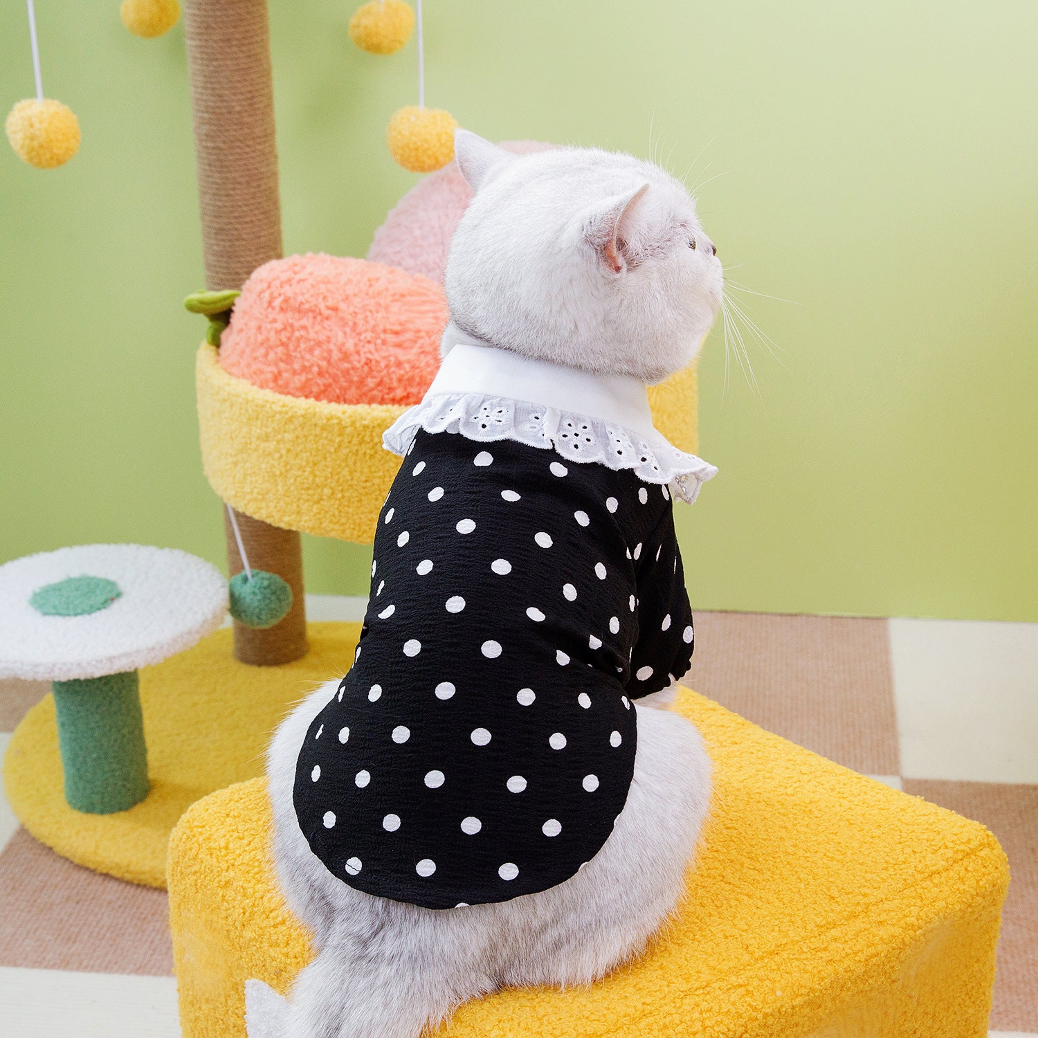 Blue Pet T Shirt Comfortable Casual Everyday Wear