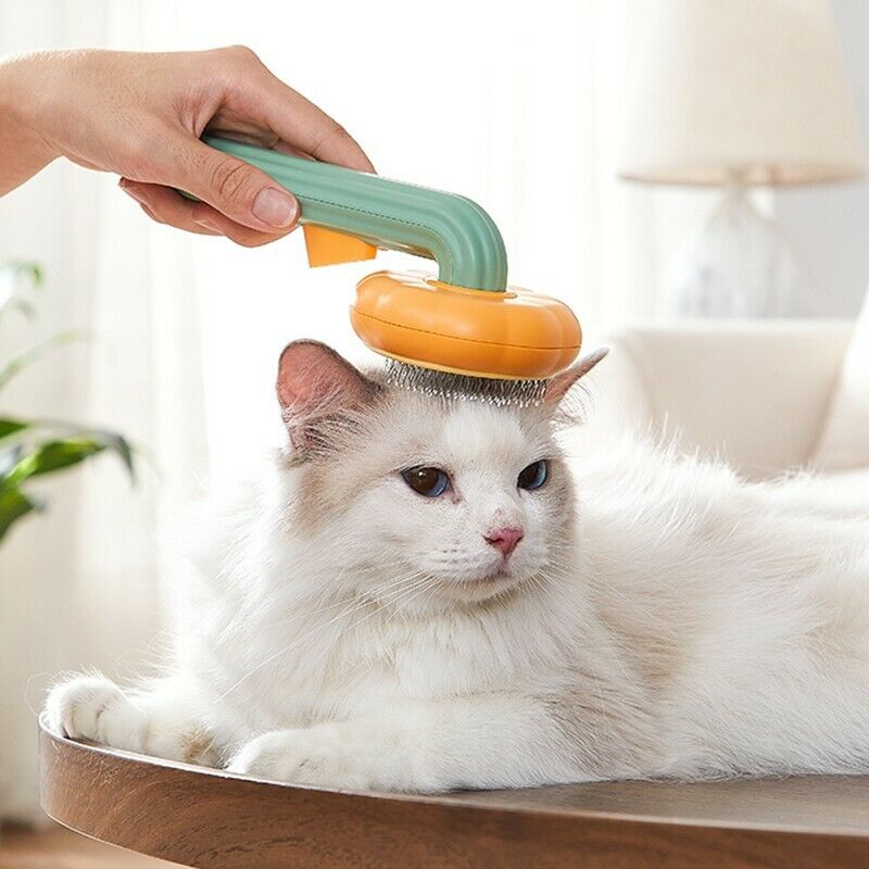 Pet Self Cleaning Pumpkin Grooming Slicker Brush