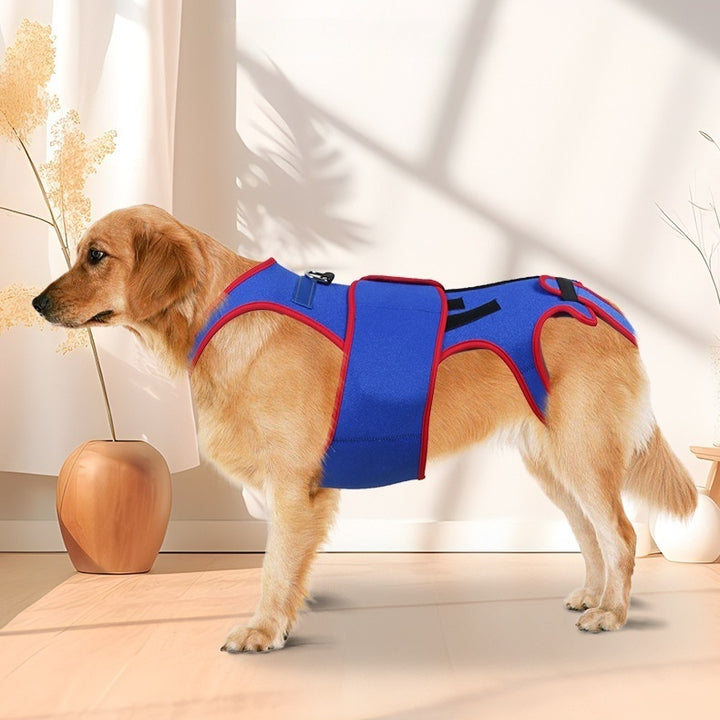 Spine Support Anti Hunch Pet Jacket