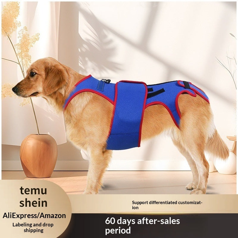 Spine Support Anti Hunch Pet Jacket