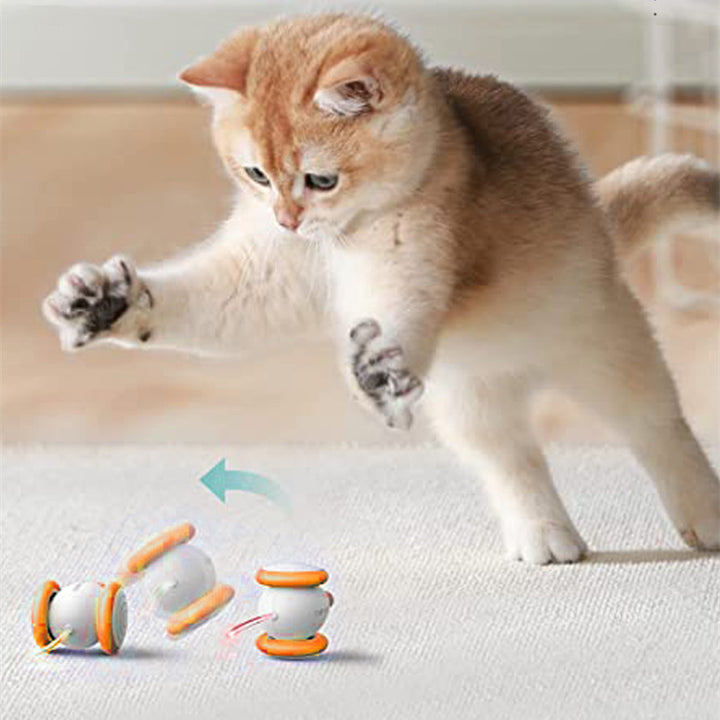 Electric Intelligent Rechargeable Interactive Pet Teasing Toy