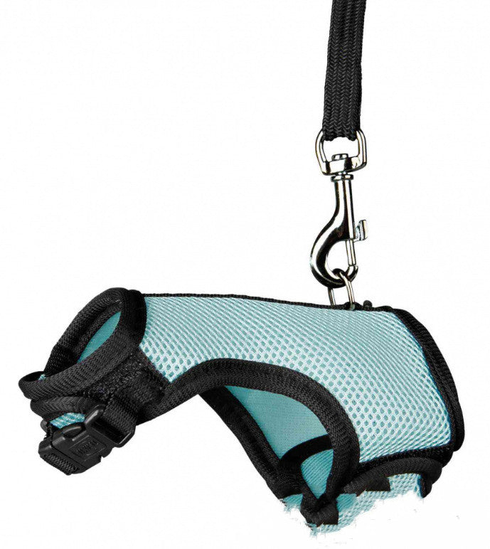 Adjustable Small Pet Walking Leash