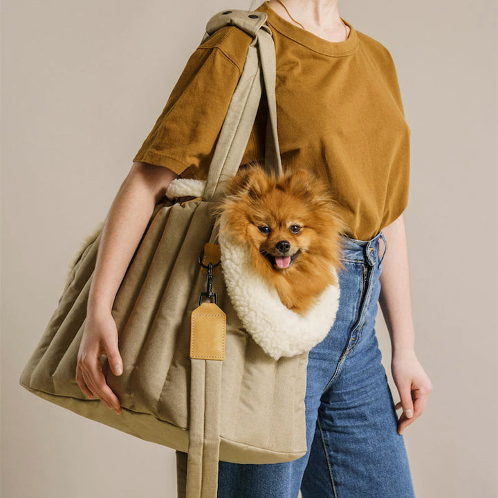 Pet Waterproof Lightweight Portable Carrier Handbag Bag