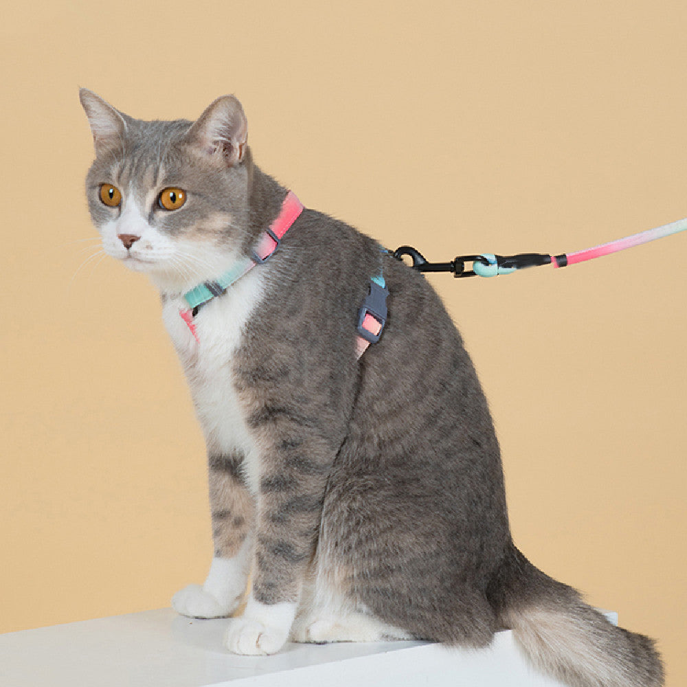Fashion Anti Escape Pet Leash Harness