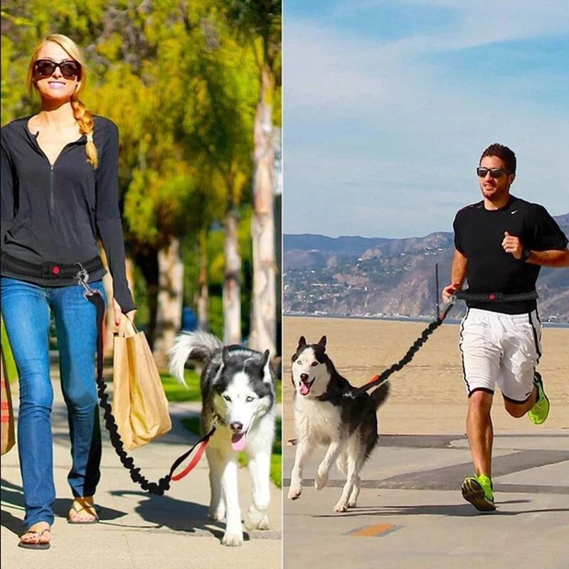 Adjustable Pet Harness Collar And Jogging Leash