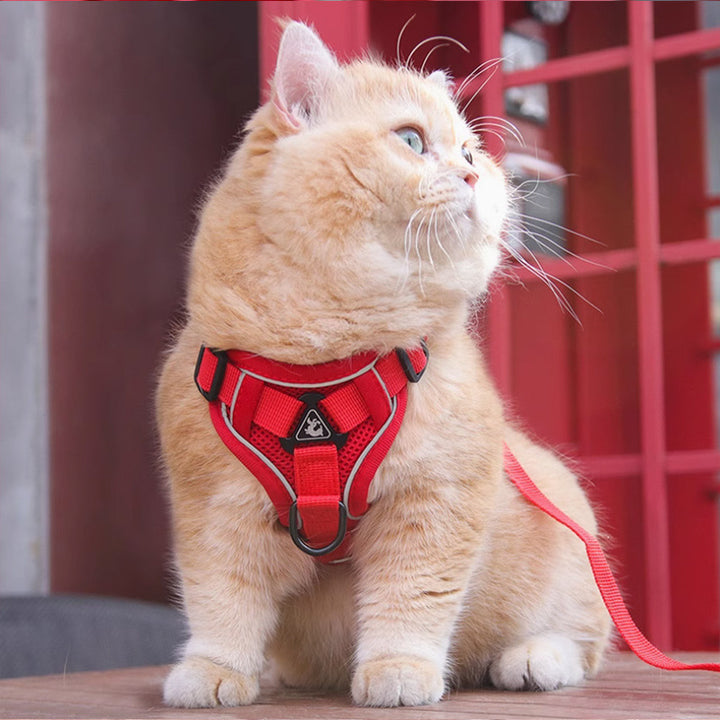 Pet New Vest Chest Strap Harness With Leash