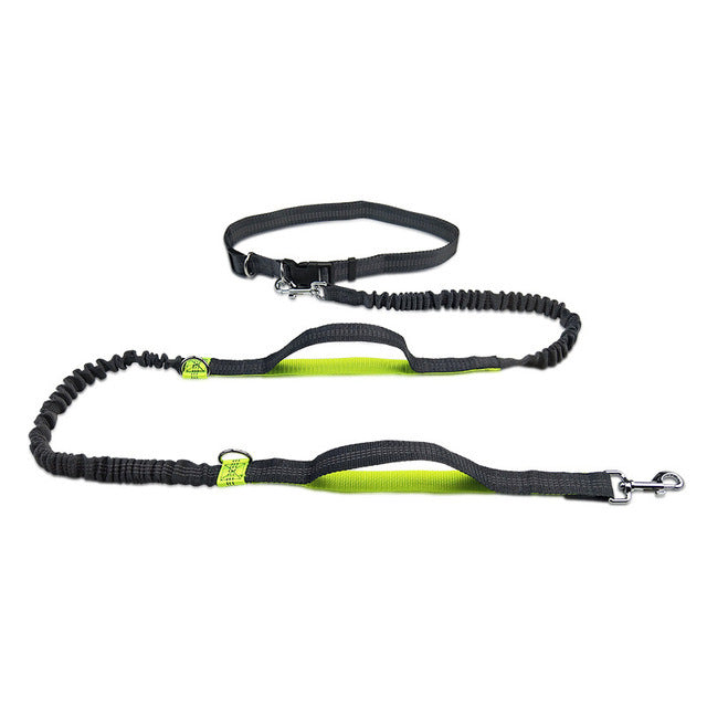 Adjustable Pet Harness Collar And Jogging Leash