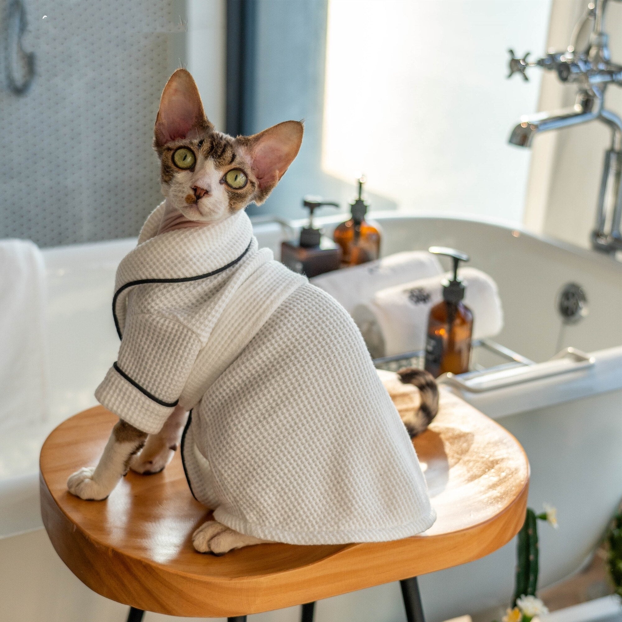 Soft Absorbent Pet Bathrobe And Towel Set