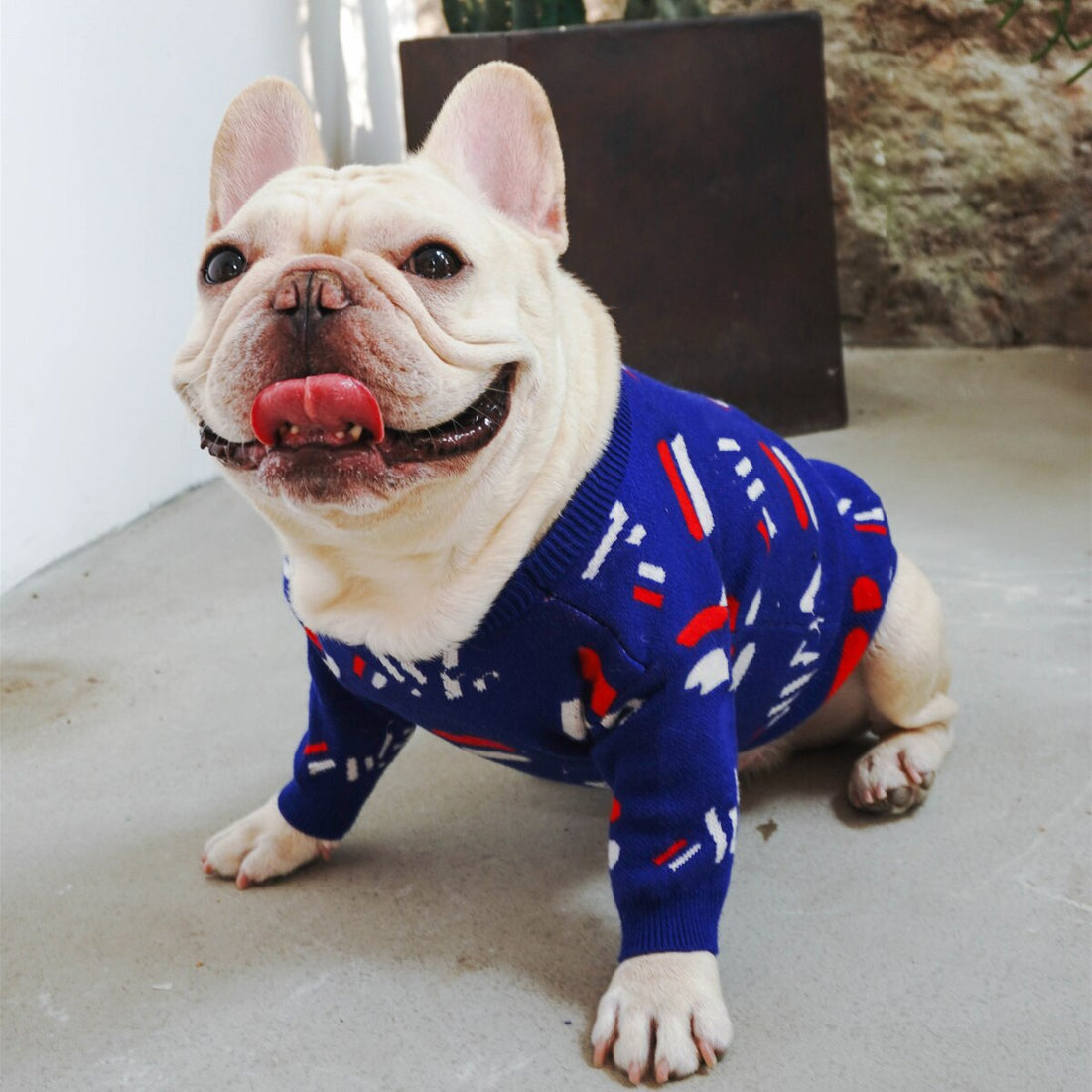 Warm Knitted Pet Sweater Apparel