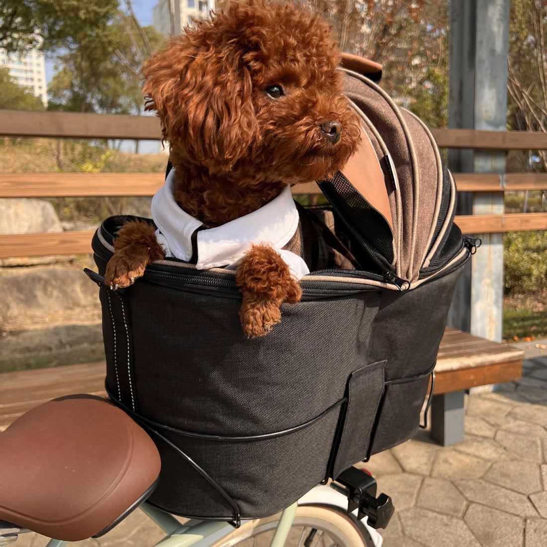 Pet Foldable Canvas Rear Seat Carrier Bag