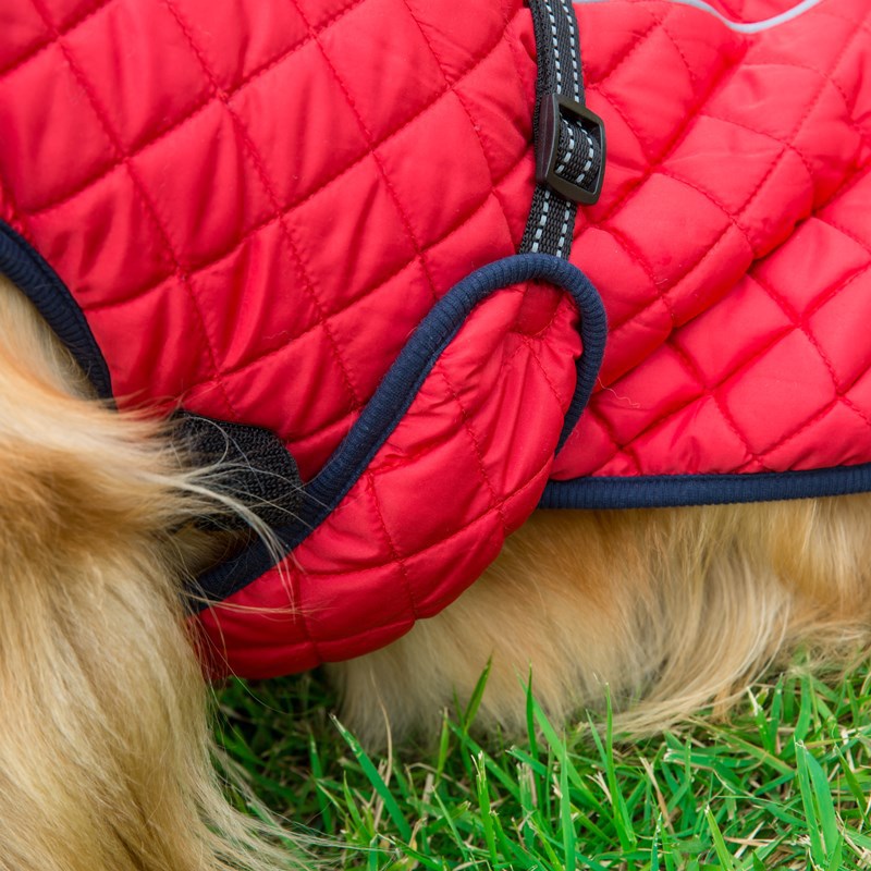 Adjustable Warm Cotton Pet Jacket For Comfort Protection