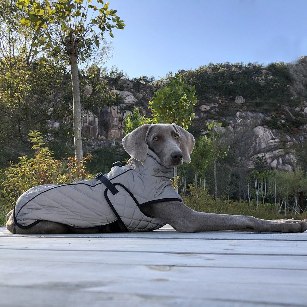 Full Body Reflective Tactical Pet Jacket