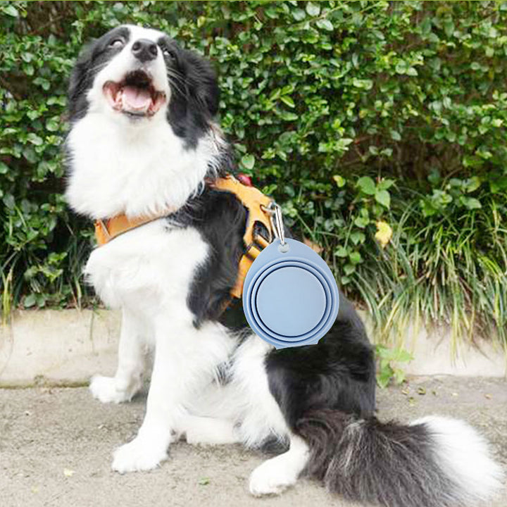 Portable Foldable Silicone Pet Feeding Bowl Outdoor