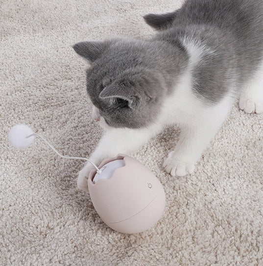 Funny Pet Artifact Interactive Engaging Play Activity Toy