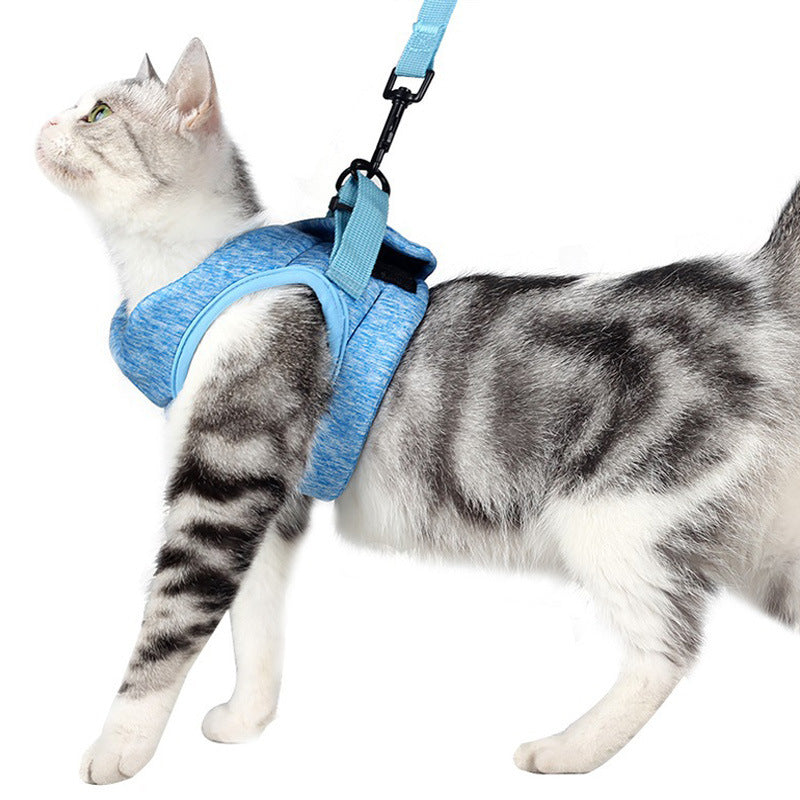 Pet Lace Rope Breathable Lightweight Chest Strap Leash