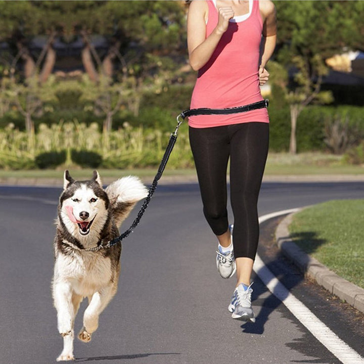 Adjustable Pet Harness Collar And Jogging Leash