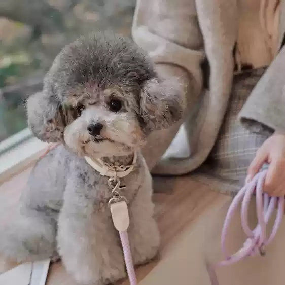 Pet Leather Handheld Rope Collar Leash For Small Medium Pets