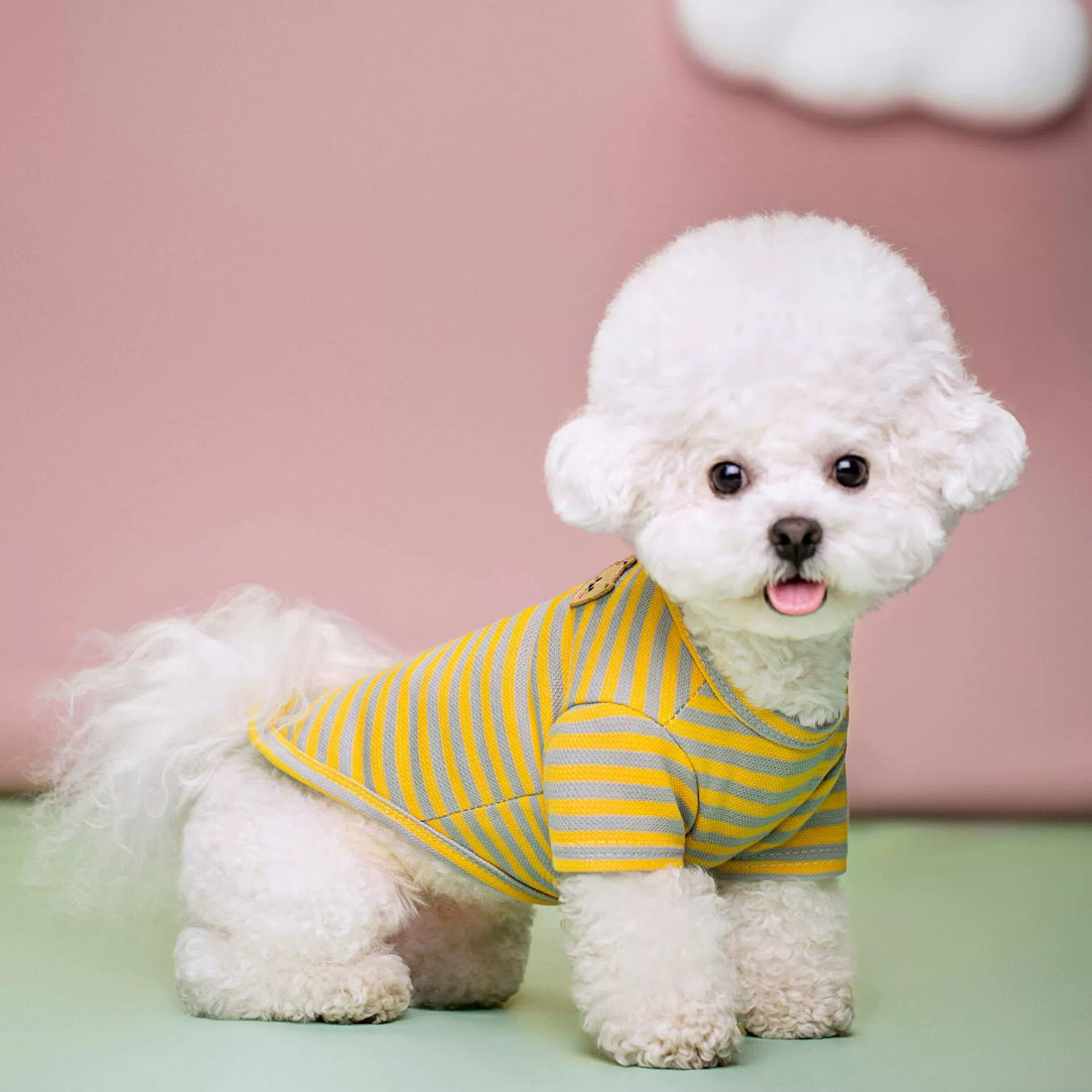 Summer Breathable Pet T Shirt Apparel