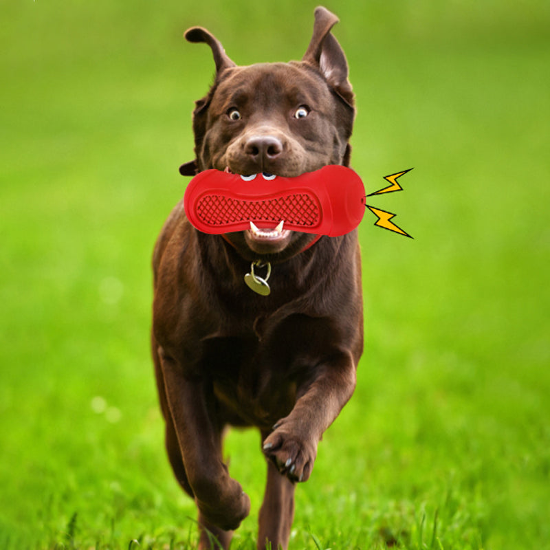 Vocal Rugby Natural Rubber Teething Bite Resistant Pet Chew Toy