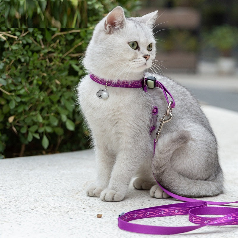 Pet Bell Chest Strap Vest Leash Harness Package Rope