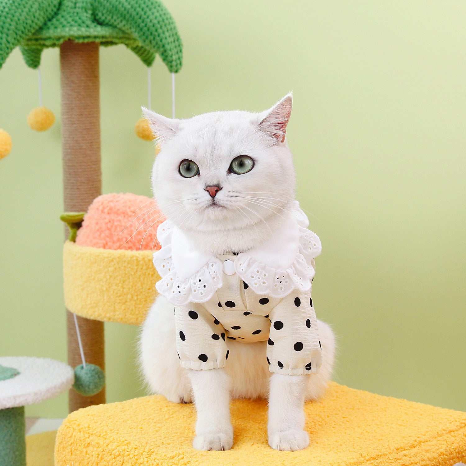 Blue Pet T Shirt Comfortable Casual Everyday Wear