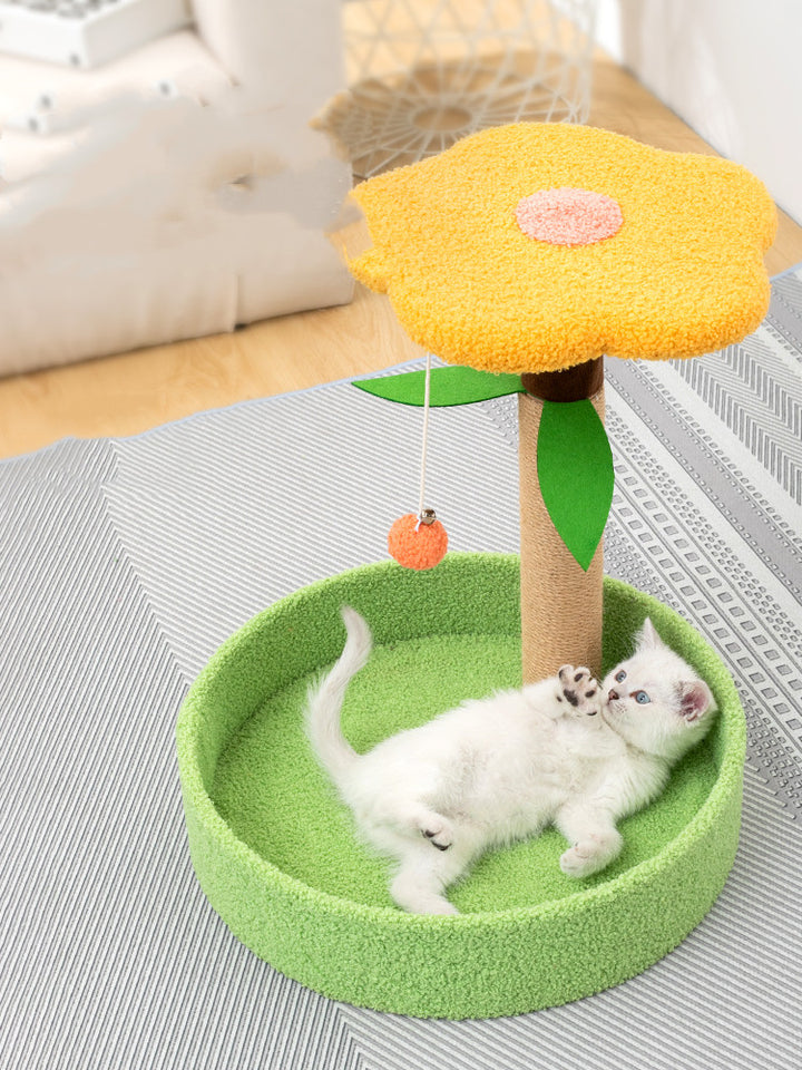Claw Grinding Interactive Pet Teasing Toy