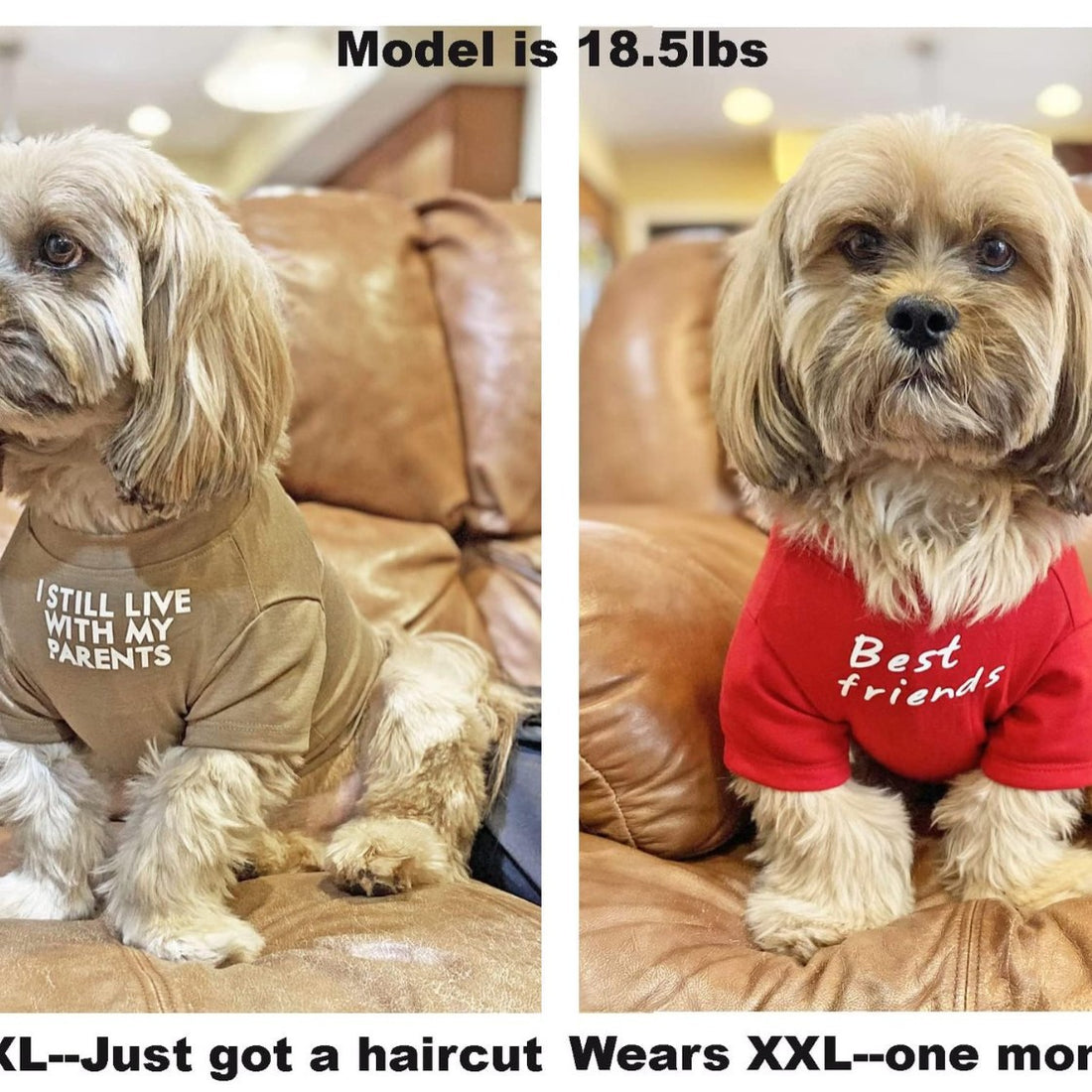 Round Neck Pet T Shirt Apparel